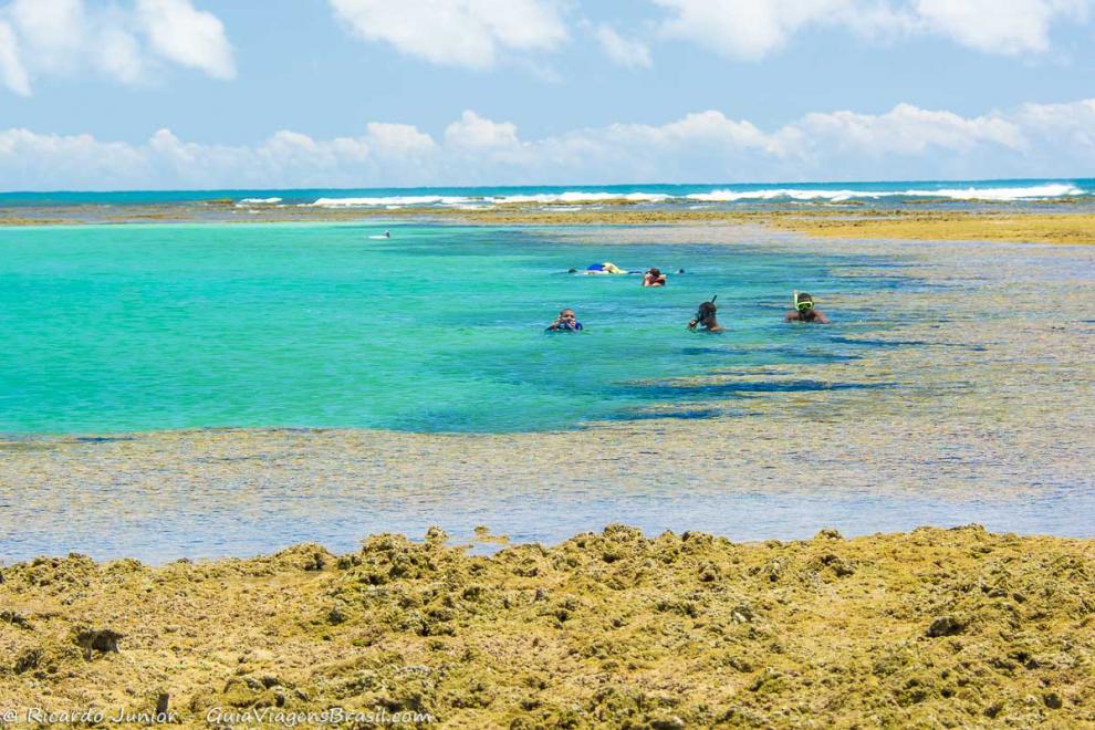 Imagem de adultos aproveitando o mar cristalino e calmo da Praia Taipu de Fora.